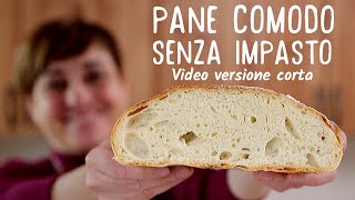 PANE COMODO FATTO IN CASA SENZA IMPASTO  Ricetta Facile Video Live versione corta [upl. by Mont623]