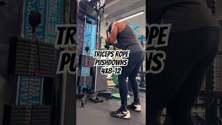 Build those horseshoe triceps Unlock the secret to bigger arms 🔥 TricepsWorkout ArmDay Fitness [upl. by Imac]