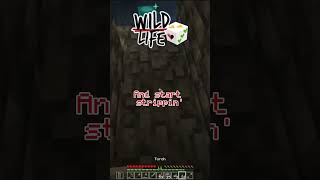 Wild Life Episode 1 Scar SUS Moments 🤨 wildlife goodtimeswithscar lifeseries [upl. by Dnalro]