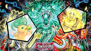 Tenpai Genroku puts in Work at Sneak Preview  Yugioh INFO Sneak Preview Top 4 Deck Profile [upl. by Annat]