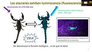 Luminiscencia en alacranes investigación desde la perspectiva de la óptica [upl. by Clance]