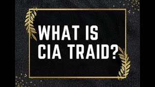 What is CIA Triad [upl. by Annalla]