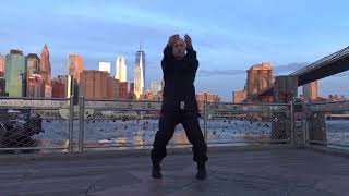 Wing Chun by TAOWS Academy en NewYork [upl. by Lsil]