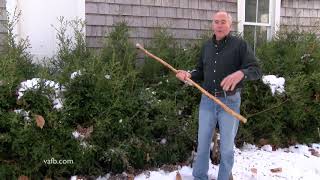 In the Garden  Protecting Boxwoods in Winter [upl. by Dabbs677]