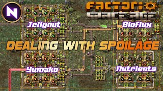 How To Set Up FARMING amp Manage SPOILAGE On Gleba  14  Factorio SPACE AGE [upl. by Frayda]