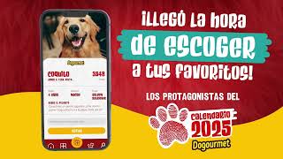 Escoge a tus peluditos favoritos en el Calendario Dogourmet 2025 [upl. by Mcloughlin118]