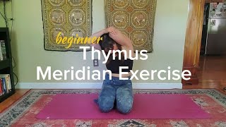 Beginner Thymus Meridian Exercise [upl. by Artied]