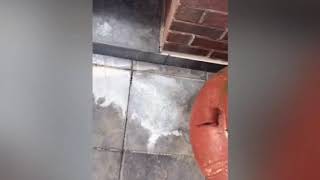 Efflorescence removal on tile [upl. by Eirovi]