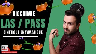 ENZYMOLOGIE  🧬Cinétique enzymatique ce quil faut maîtriser [upl. by Tawnya812]