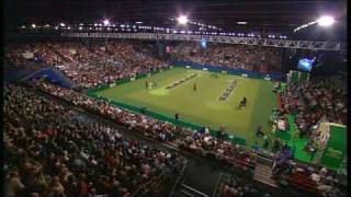 Flyball  Crufts 2007 Final [upl. by Nniroc]