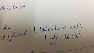 unsaturated fatty acid synthesis [upl. by Huxham853]