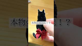 本物の猫の髭がついた猫ブローチ！？ ハンドメイドアクセサリー ハンドメイド ハンドメイド作家 刺繍 動物刺繍 動物アクセサリー 猫刺繍 猫アクセサリー short ショート [upl. by Joleen832]