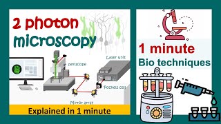 2 Photon microscopy  biotechniques in 1 minute [upl. by Fonz]