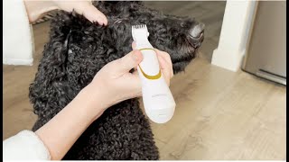 Most User Friendly Dog Grooming Kit with Pet Trimmers For Dogs  Paw Trimmer with Nail Grinder [upl. by Krilov]