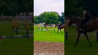 horse riding at canter on jumps  horse riding  horse jumping [upl. by Burnley]