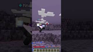 Knarfyexe minecraft mods funny [upl. by Vonni]