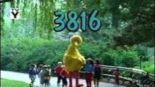 Sesame Street Full Episode 3816 [upl. by Angelique163]