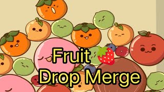 Fruit Merge  The Game That Ruined My Summer [upl. by Llevram]