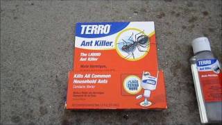 Terro Ant Bait demo and tips [upl. by Salvatore]