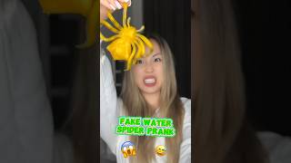 FAKE WATER SPIDER PRANK shorts iribabyworld prank [upl. by Nylasej286]