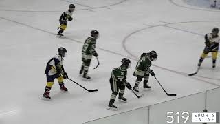 Hespeler Minor Hockey Atom  Flamborough Sabres vs Hespeler Shamrocks [upl. by Brieta]