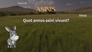 Factum de Asino 1  Quot annos asini vivunt [upl. by Joon]