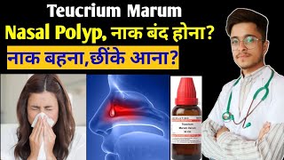 Teucrium Marum Varum 30 Homoeopathic Medicine uses in Hindi [upl. by Ilram]