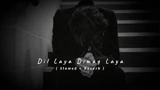 Main Dil Laya Tu Dimag Laya 🥺  Slowed And Reverb   Feel The Song  Ak Lofi [upl. by Hara]