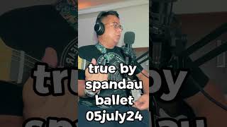 true by spandau ballet [upl. by Adriel116]