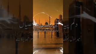 Tanam Farsooda Jan Para  Umer Munir Qadri  Vocal Version [upl. by Adena]