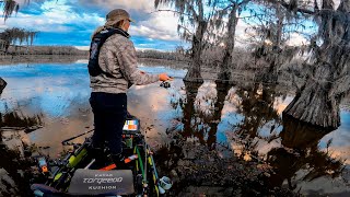 CADDO Lake Tournament Ultra shallow Post Spawn [upl. by Llecrad901]