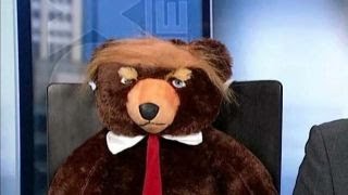 Trumpy Bear giving the Teddy bear a run for its money [upl. by Jezreel]