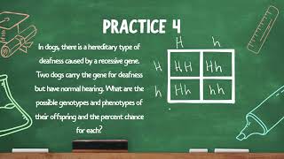 GED Science 2 Punnett Square and Heredity [upl. by Jankey597]