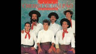 Grupo Cheiro de Galpão  Bailanta Buenacha  1994  Disco Completo [upl. by Machutte]