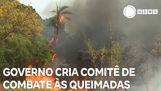 Governo cria comitê para combater incêndios florestais [upl. by Ethyl]