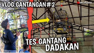 VLOG Tes gantang kenari Zilong pakai kandang baru [upl. by Leoy495]