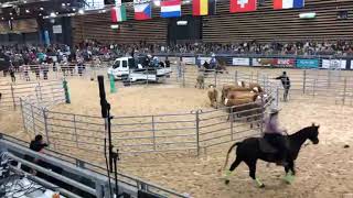 Master AFET  Equita Lyon 2023  Jackpot Ranch Sorting  Gos  Finales [upl. by Ssor]