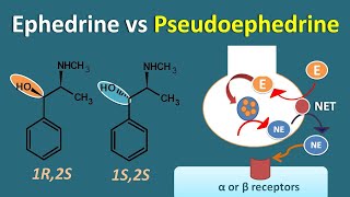 Ephedrine vs Pseudoephedrine  Similarities and differences [upl. by Gerrie]