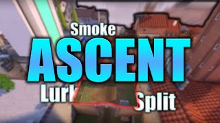 Advanced ASCENT Guide All Roles 2024 [upl. by Guttery]