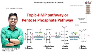 Hexose monophosphate Pathway orHMP Pathway [upl. by Thanos769]