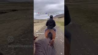 📍Iceland 🇮🇸 Series Part 3 Icelandic Horses 🐴 iceland icelandichorses horseriding [upl. by Delmor174]