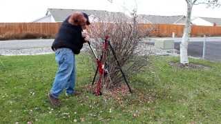 How to Remove Shrubs the Easy Way [upl. by Hess]