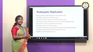 DNA Replication in Prokaryotes vs Eukaryotes  Ms Jesia Persis Preethi N [upl. by Dorehs]