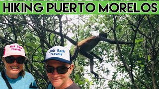 Hiking Monkeys amp Cafe de Olla  Nature In Puerto Morelos [upl. by Aihtekal]