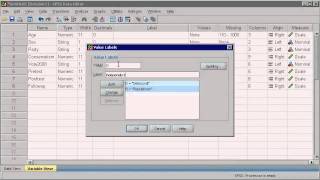 SPSS 16  1 Data Management [upl. by Nek]