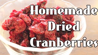 Homemade Dried Cranberries DIY Craisins [upl. by Maxi]