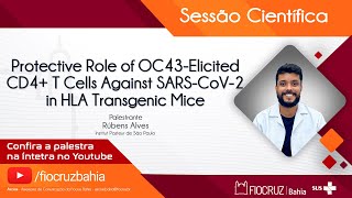 rotective Role of OC43Elicited CD4 T Cells Against SARSCoV2 in HLA Transgenic Mice [upl. by Mosera]