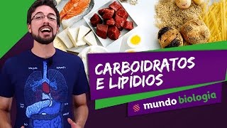 🧬 Bioquímica 35 Carboidratos e Lipídios  Biologia  ENEM [upl. by Rowney580]