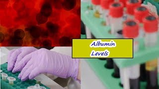 Albumin Levels – High Low Normal Range [upl. by Qidas]