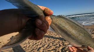 Stanwell Park NSW fishing ￼ [upl. by Arotak602]